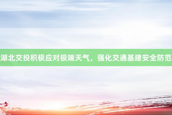 湖北交投积极应对极端天气，强化交通基建安全防范