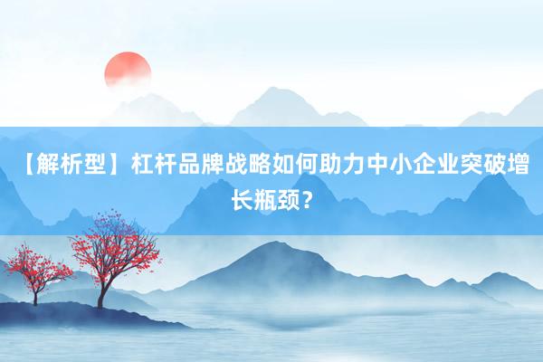 【解析型】杠杆品牌战略如何助力中小企业突破增长瓶颈？