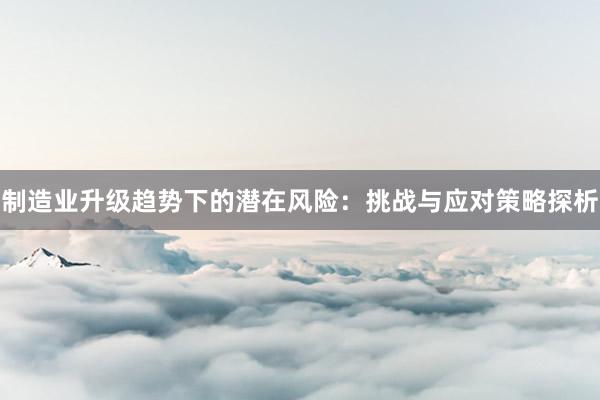 制造业升级趋势下的潜在风险：挑战与应对策略探析