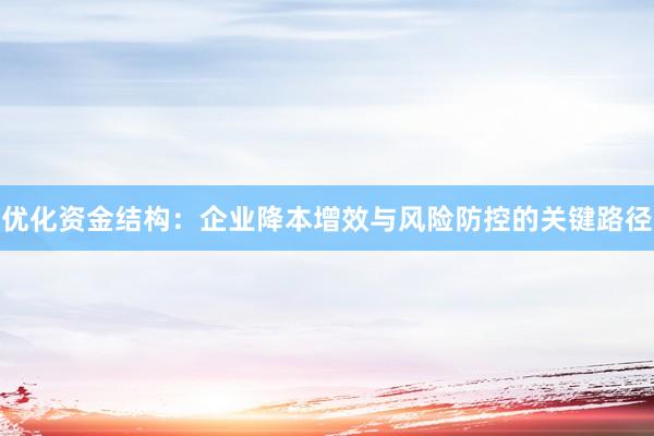 优化资金结构：企业降本增效与风险防控的关键路径