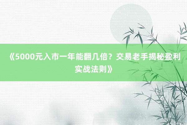 《5000元入市一年能翻几倍？交易老手揭秘盈利实战法则》