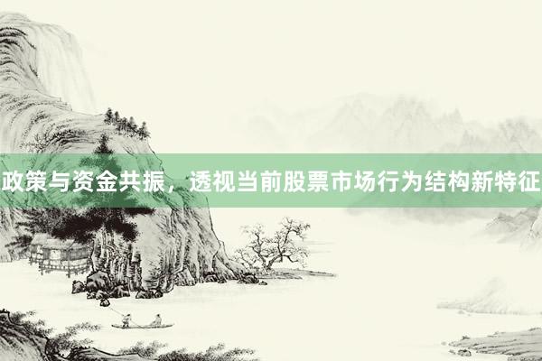 政策与资金共振，透视当前股票市场行为结构新特征
