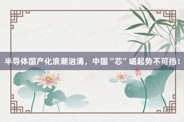 半导体国产化浪潮汹涌，中国“芯”崛起势不可挡！