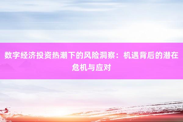 数字经济投资热潮下的风险洞察：机遇背后的潜在危机与应对