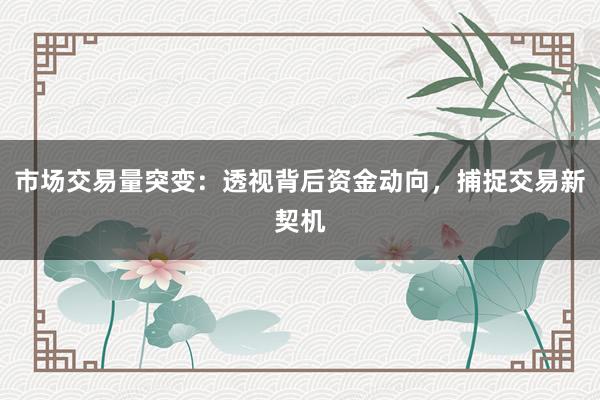 市场交易量突变：透视背后资金动向，捕捉交易新契机