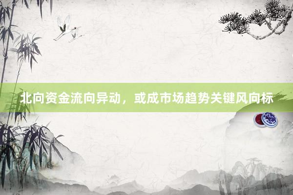 北向资金流向异动，或成市场趋势关键风向标