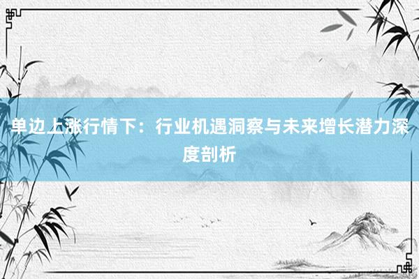 单边上涨行情下：行业机遇洞察与未来增长潜力深度剖析