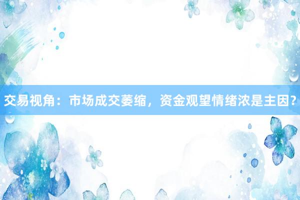 交易视角:市场成交萎缩,资金观望情绪浓是主因?