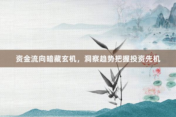 资金流向暗藏玄机，洞察趋势把握投资先机