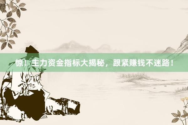 惊！主力资金指标大揭秘，跟紧赚钱不迷路！