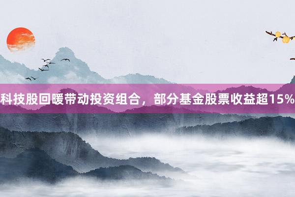 科技股回暖带动投资组合，部分基金股票收益超15%