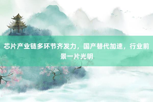 芯片产业链多环节齐发力，国产替代加速，行业前景一片光明