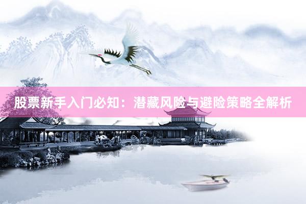 股票新手入门必知：潜藏风险与避险策略全解析