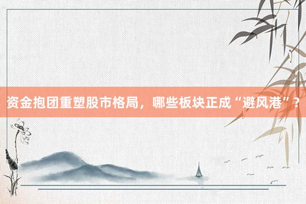 资金抱团重塑股市格局，哪些板块正成“避风港”？