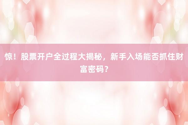 惊！股票开户全过程大揭秘，新手入场能否抓住财富密码？