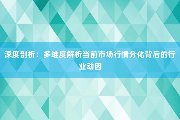 深度剖析：多维度解析当前市场行情分化背后的行业动因