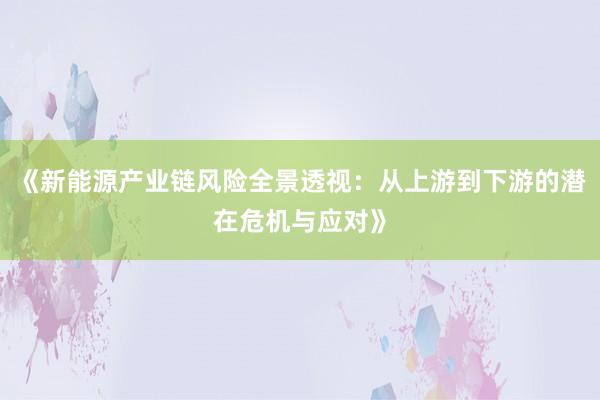 《新能源产业链风险全景透视：从上游到下游的潜在危机与应对》