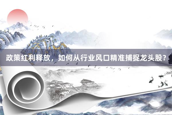 政策红利释放，如何从行业风口精准捕捉龙头股？