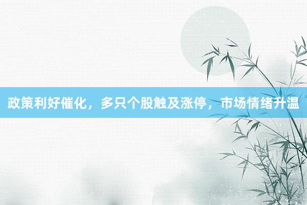 政策利好催化，多只个股触及涨停，市场情绪升温