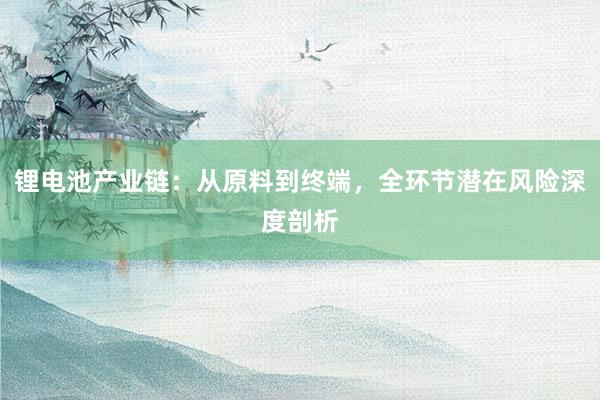 锂电池产业链：从原料到终端，全环节潜在风险深度剖析