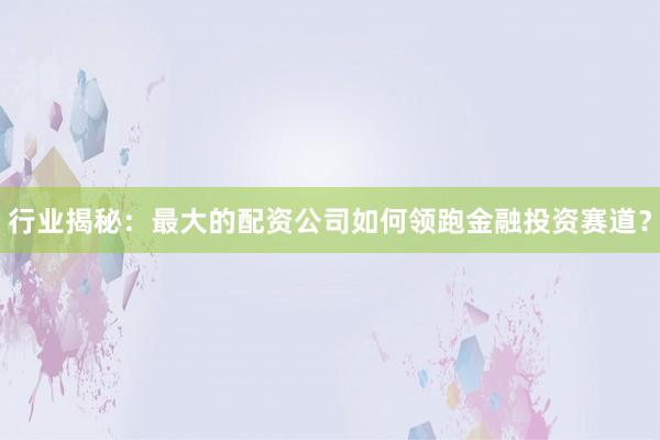 行业揭秘：最大的配资公司如何领跑金融投资赛道？