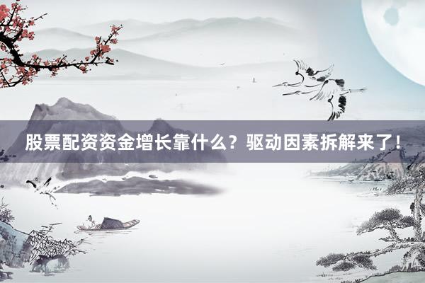股票配资资金增长靠什么？驱动因素拆解来了！