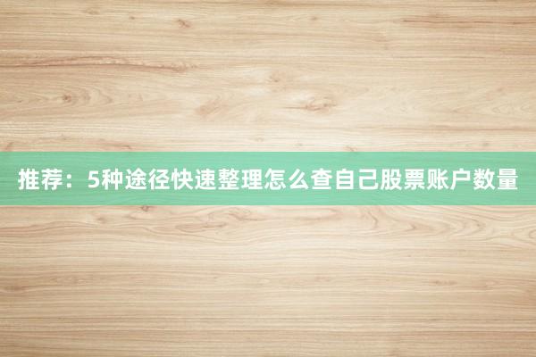 推荐：5种途径快速整理怎么查自己股票账户数量